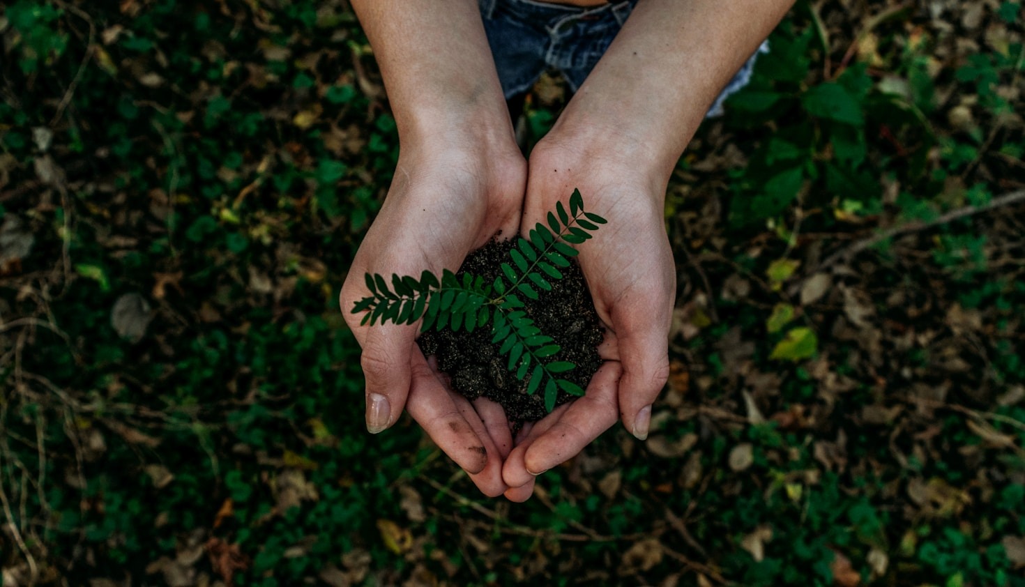 Kan Chat Boten lösa klimatkrisen?